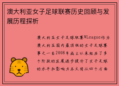 澳大利亚女子足球联赛历史回顾与发展历程探析
