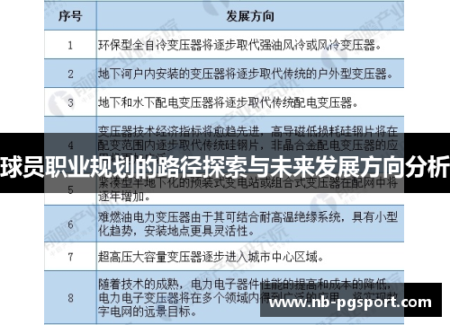 球员职业规划的路径探索与未来发展方向分析