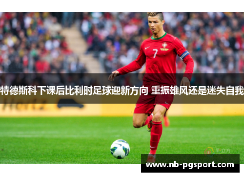 特德斯科下课后比利时足球迎新方向 重振雄风还是迷失自我