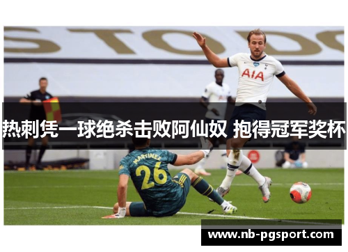热刺凭一球绝杀击败阿仙奴 抱得冠军奖杯