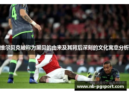 维尔贝克被称为黑贝的由来及其背后深刻的文化寓意分析 维尔贝克被称为黑贝的由来及其背后深刻的文化寓意分析