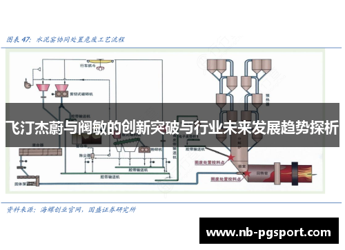 飞汀杰蔚与阀敏的创新突破与行业未来发展趋势探析