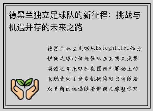 德黑兰独立足球队的新征程：挑战与机遇并存的未来之路