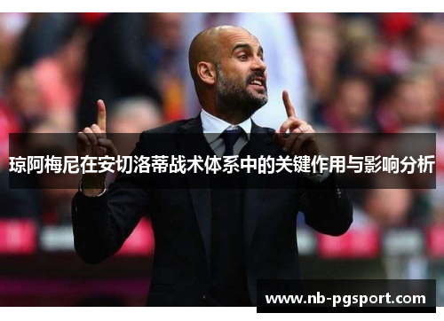 琼阿梅尼在安切洛蒂战术体系中的关键作用与影响分析